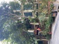 IMG_5011.jpeg