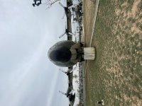 IMG_5054.jpeg