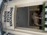 IMG_5131.jpeg