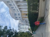 IMG_5126.jpeg