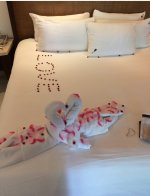 IMG_5909.jpeg