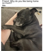 1732820829088.png