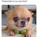 1732824935928.jpeg
