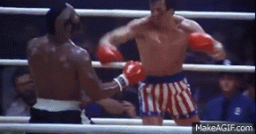 1733008928352.gif