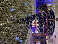 IMG_5240.jpeg