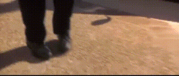 1733178574606.gif