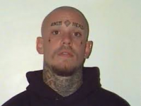 1733208100212.png