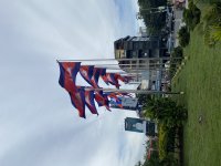 IMG_5313.jpeg