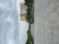 IMG_5358.jpeg