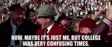 1733331966355.gif