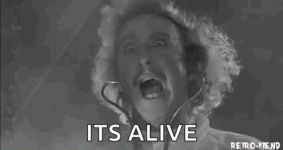 1733367484637.gif