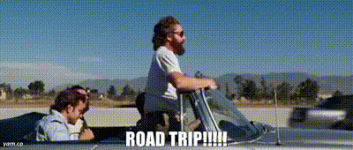 1733506097595.gif