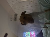 IMG_2801.jpeg