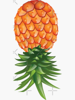 1733666904465.png
