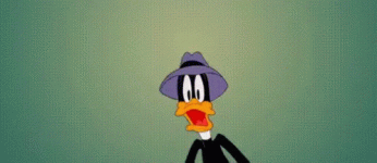 1733678978393.gif