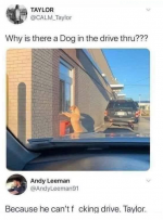 1734037458059.png