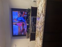IMG_5930.jpeg