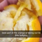 1734530751168.jpeg