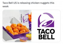1734581233837.jpeg