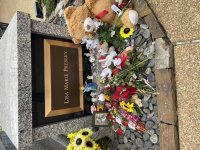 IMG_6411.jpeg
