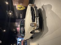 IMG_6428.jpeg