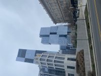 IMG_6509.jpeg