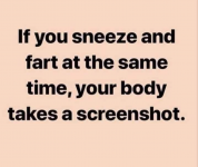 1735446332075.png