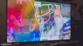 IMG_0268.gif