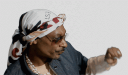 IMG_0270.gif