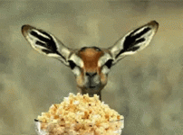 1735953019416.gif