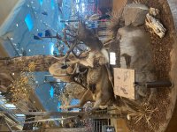 IMG_6840.jpeg