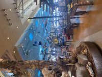 IMG_6839.jpeg