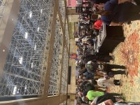 IMG_6855.jpeg