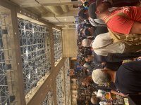 IMG_6853.jpeg