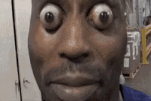 IMG_0389.gif