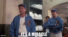 1736551401934.gif