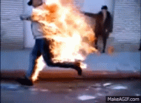 IMG_0480.gif