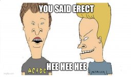 1736784852253.jpeg