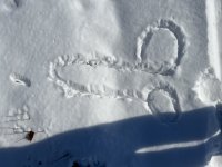 IMG_0962.jpeg
