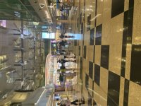 IMG_7341.jpeg