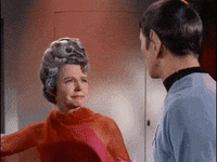IMG_0555.gif