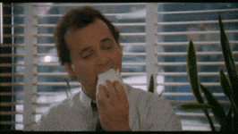 1736969262774.gif