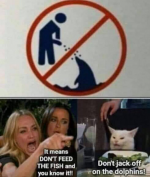 1737167891869.png