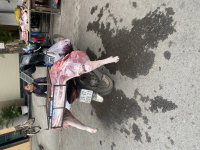 IMG_7580.jpeg