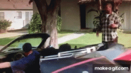 1737260443966.gif
