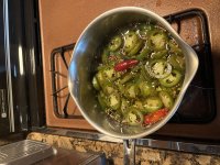 IMG_0619.jpeg