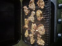 IMG_2953.jpeg
