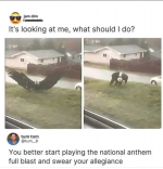 1737491567535.png