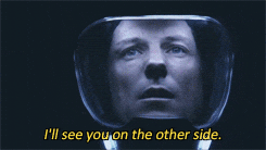 giphy (29).gif
