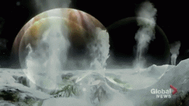 IMG_7838.gif